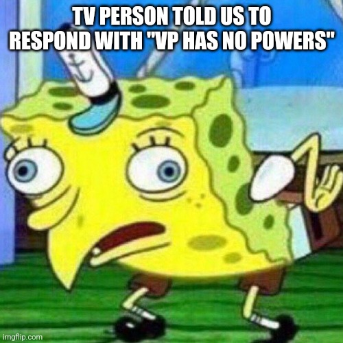 triggerpaul | TV PERSON TOLD US TO RESPOND WITH "VP HAS NO POWERS" | image tagged in triggerpaul | made w/ Imgflip meme maker