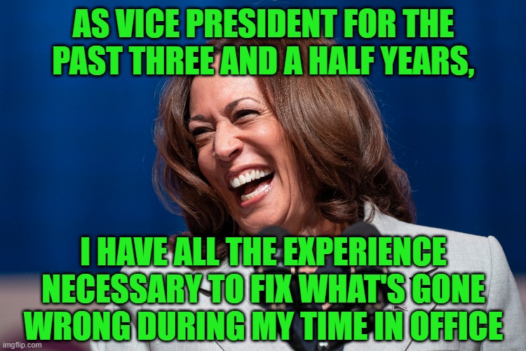 All She Needs is a Little More Time | AS VICE PRESIDENT FOR THE PAST THREE AND A HALF YEARS, I HAVE ALL THE EXPERIENCE NECESSARY TO FIX WHAT'S GONE WRONG DURING MY TIME IN OFFICE | image tagged in kamala harris,inflation,illegal immigration,crime | made w/ Imgflip meme maker