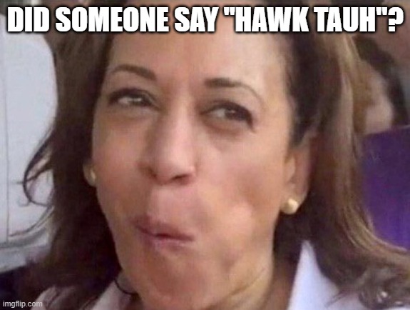 Kamala Harris | DID SOMEONE SAY "HAWK TAUH"? | image tagged in kamala harris | made w/ Imgflip meme maker