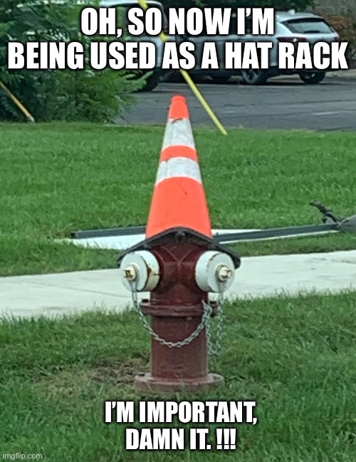 I’m important | OH, SO NOW I’M BEING USED AS A HAT RACK; I’M IMPORTANT, DAMN IT. !!! | image tagged in conehead | made w/ Imgflip meme maker