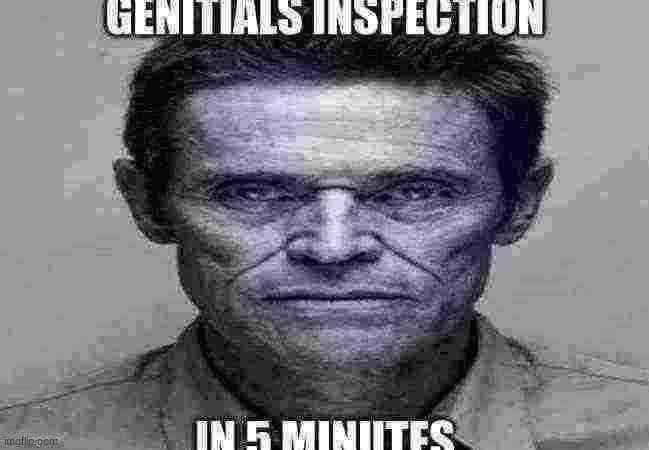 genitals inspection | image tagged in genitals inspection | made w/ Imgflip meme maker