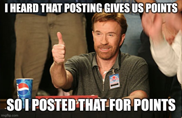 Posting for points | I HEARD THAT POSTING GIVES US POINTS; SO I POSTED THAT FOR POINTS | image tagged in memes,chuck norris approves,imgflip,imgflip points,shitpost,post | made w/ Imgflip meme maker