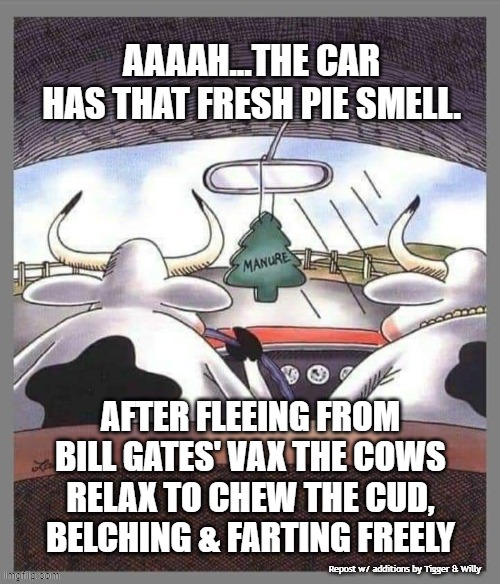 AFTER FLEEING FROM BILL GATES' VAX THE COWS RELAX TO CHEW THE CUD, BELCHING & FARTING FREELY; Repost w/ additions by Tigger & Willy | made w/ Imgflip meme maker