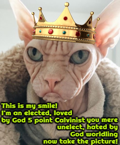 Worldling Photographing Royalty | This is my smile! I'm an elected, loved by God 5 point Calvinist; you mere unelect, hated by God worldling now take the picture! | image tagged in memes,calvinism,arminian,reformed theology,superior royalty,worldling | made w/ Imgflip meme maker