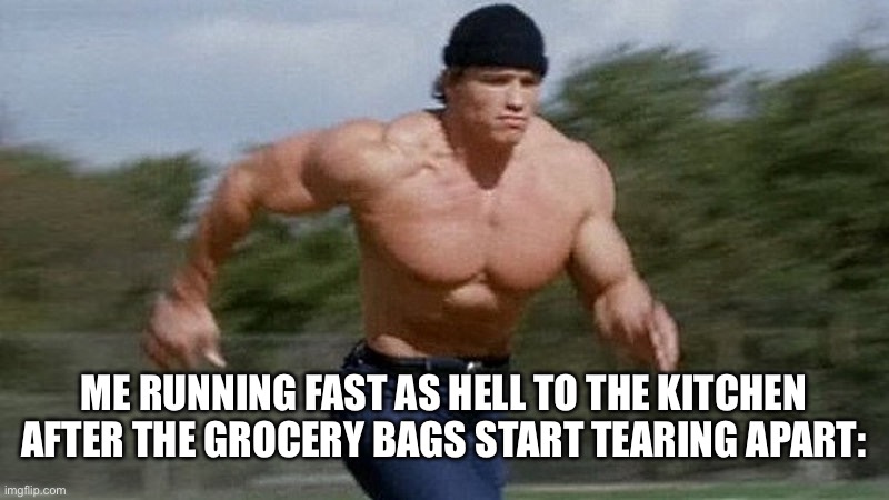 Running Arnold | ME RUNNING FAST AS HELL TO THE KITCHEN AFTER THE GROCERY BAGS START TEARING APART: | image tagged in running arnold | made w/ Imgflip meme maker