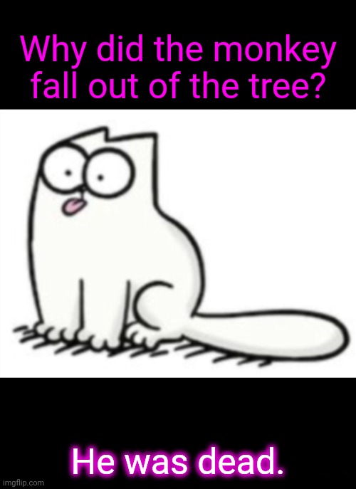 Gimme More Monkey Jokes! | Why did the monkey fall out of the tree? He was dead. | image tagged in bad joke | made w/ Imgflip meme maker