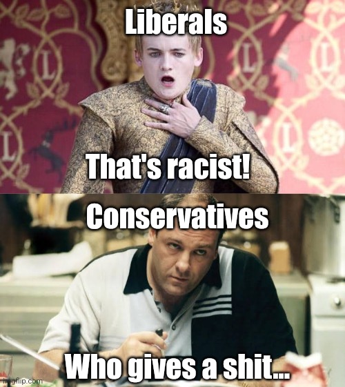 Liberals; That's racist! Conservatives; Who gives a shit... | image tagged in game of thrones,tony soprano | made w/ Imgflip meme maker