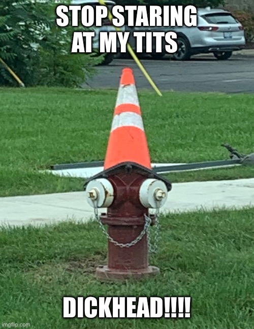 Cone fever | STOP STARING AT MY TITS; DICKHEAD!!!! | image tagged in fire | made w/ Imgflip meme maker