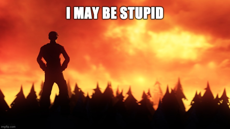 i may be stupid | image tagged in i may be stupid | made w/ Imgflip meme maker