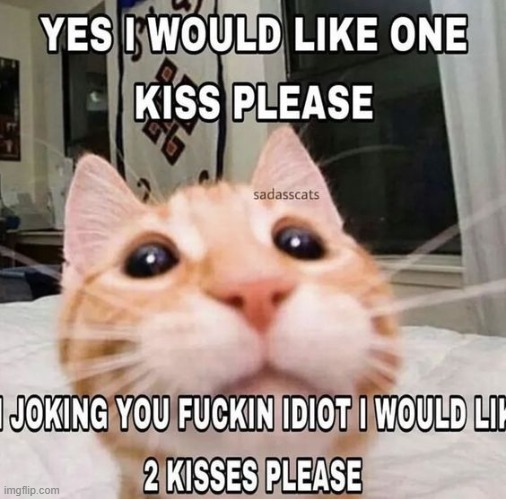 i give up. idk how to be an asshole | made w/ Imgflip meme maker