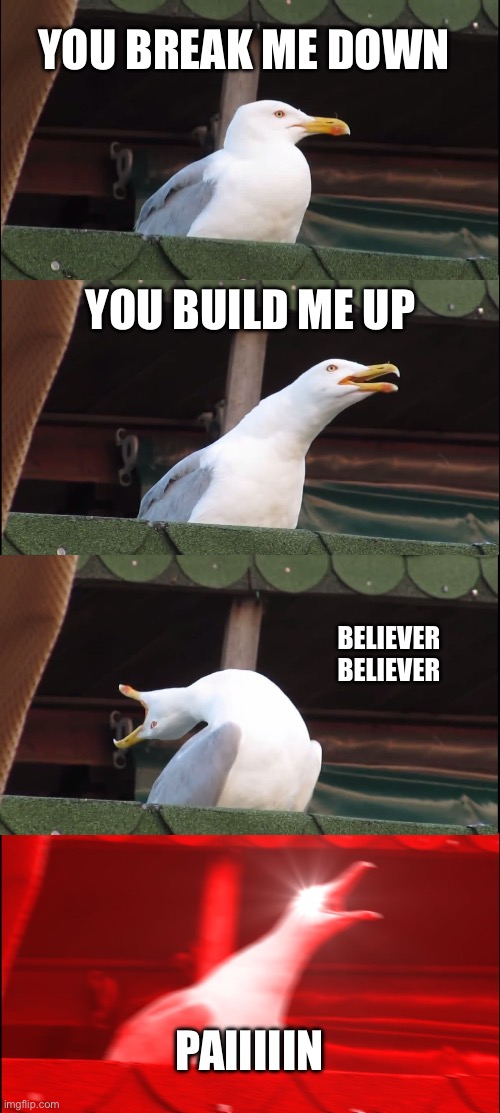 Inhaling Seagull | YOU BREAK ME DOWN; YOU BUILD ME UP; BELIEVER
BELIEVER; PAIIIIIN | image tagged in memes,inhaling seagull,imagine dragons | made w/ Imgflip meme maker