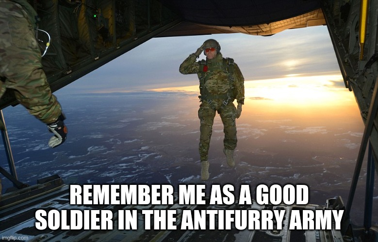 good by dear soldiers | REMEMBER ME AS A GOOD SOLDIER IN THE ANTIFURRY ARMY | image tagged in soldier salute midair | made w/ Imgflip meme maker