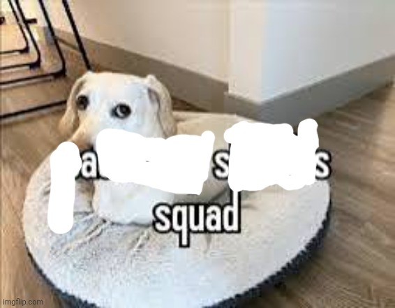 ass squad | made w/ Imgflip meme maker