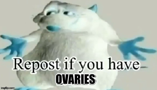 Repost if you have ovaries | OVARIES | made w/ Imgflip meme maker