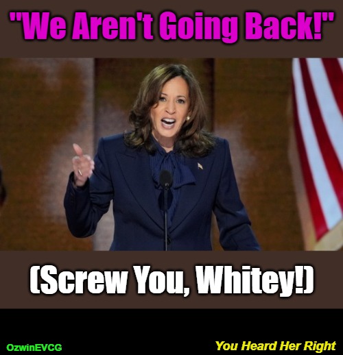 You Heard Her Right | "We Aren't Going Back!"; (Screw You, Whitey!); You Heard Her Right; OzwinEVCG | image tagged in kamala harris,dnc speech,comrade kneepads,translating,antiwhite,slogans | made w/ Imgflip meme maker