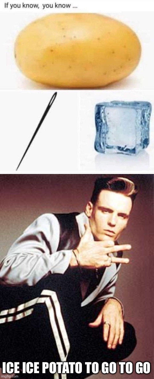 ICE ICE POTATO TO GO TO GO | image tagged in vanilla ice | made w/ Imgflip meme maker