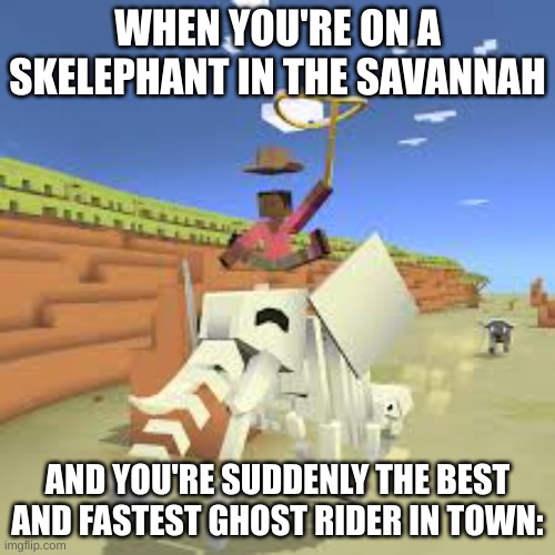 Skelephants | WHEN YOU'RE ON A SKELEPHANT IN THE SAVANNAH; AND YOU'RE SUDDENLY THE BEST AND FASTEST GHOST RIDER IN TOWN: | image tagged in skelephant,hello there | made w/ Imgflip meme maker