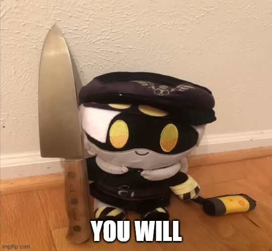 N with a knife | YOU WILL | image tagged in n with a knife | made w/ Imgflip meme maker