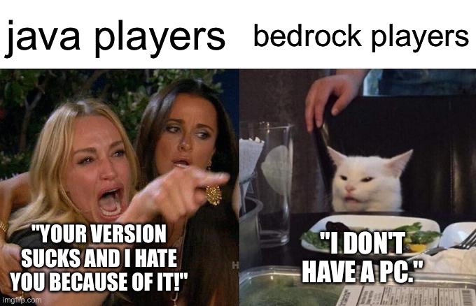 not ALL java players, just a handful of em | java players; bedrock players; "YOUR VERSION SUCKS AND I HATE YOU BECAUSE OF IT!"; "I DON'T HAVE A PC." | image tagged in memes,woman yelling at cat,minecraft | made w/ Imgflip meme maker