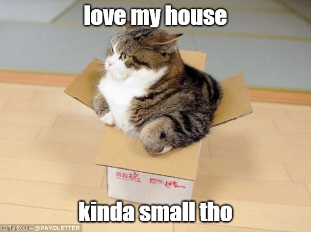 cat that doesn't fit in box | love my house kinda small tho | image tagged in cat that doesn't fit in box | made w/ Imgflip meme maker