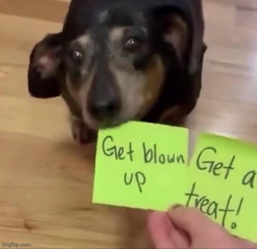 gn chat | made w/ Imgflip meme maker