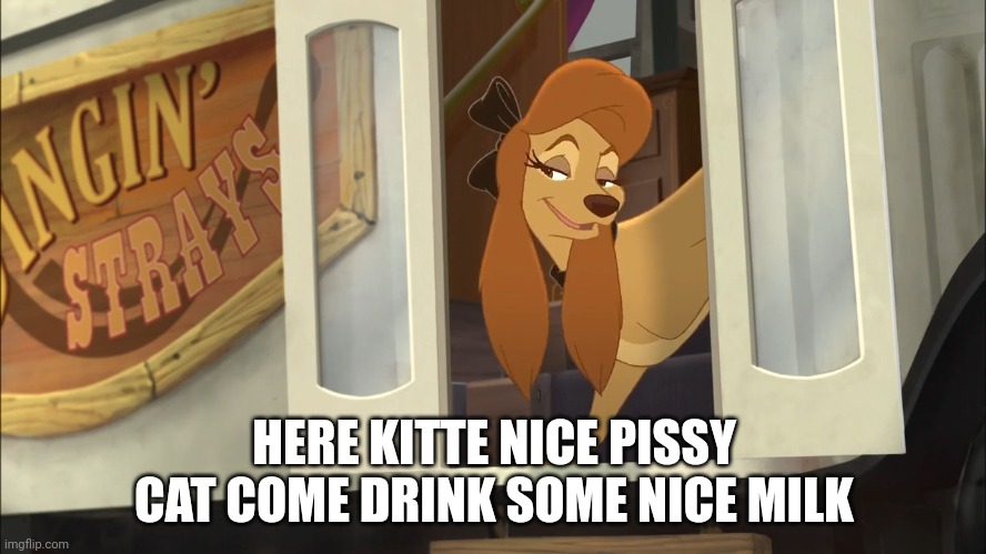 Come Drink Some Nice Milk | HERE KITTE NICE PISSY CAT COME DRINK SOME NICE MILK | image tagged in dixie's hiding | made w/ Imgflip meme maker