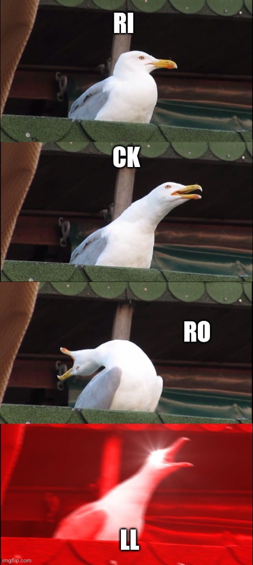 What does it say? | RI; CK; RO; LL | image tagged in memes,inhaling seagull | made w/ Imgflip meme maker