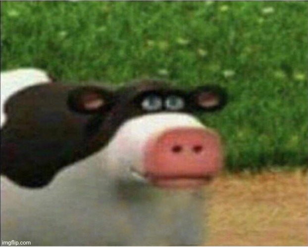 perhaps barnyard | image tagged in perhaps barnyard | made w/ Imgflip meme maker