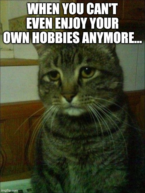 Depressed Cat Meme | WHEN YOU CAN'T EVEN ENJOY YOUR OWN HOBBIES ANYMORE... | image tagged in memes,depressed cat | made w/ Imgflip meme maker