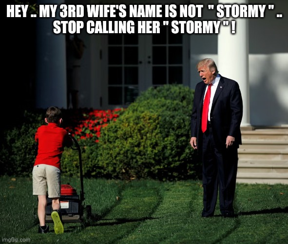 Stormy | HEY .. MY 3RD WIFE'S NAME IS NOT  " STORMY " ..
STOP CALLING HER " STORMY " ! | image tagged in trump on lawn,stormy | made w/ Imgflip meme maker