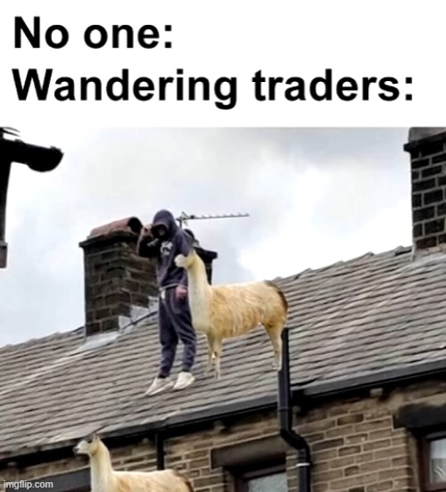 wandeing traders | made w/ Imgflip meme maker