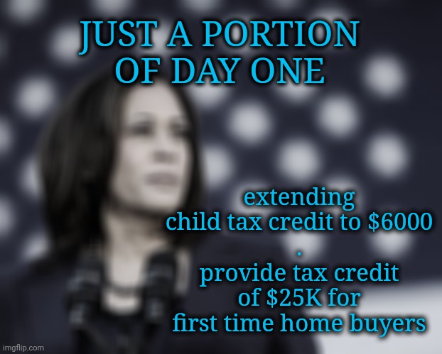 Day One: Reasonable Expectations to a Great Beginning | JUST A PORTION
OF DAY ONE; extending child tax credit to $6000
.
provide tax credit of $25K for first time home buyers | image tagged in dnc,msnbc,cnn,day one,kamala harris | made w/ Imgflip meme maker