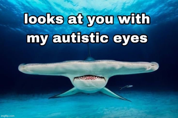 marine life is so cool | made w/ Imgflip meme maker