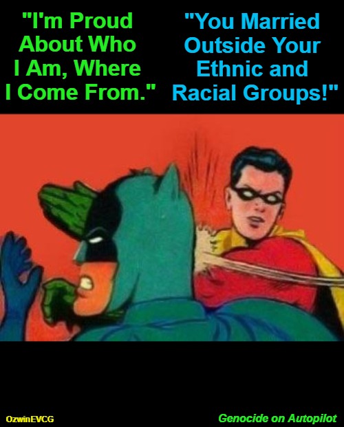 Genocide on Autopilot | "You Married 

Outside Your 

Ethnic and 

Racial Groups!"; "I'm Proud 

About Who 

I Am, Where 

I Come From."; Genocide on Autopilot; OzwinEVCG | image tagged in respect all peoples,ethnicity,robin slaps batman,love your nation,human biodiversity,activate eternity | made w/ Imgflip meme maker