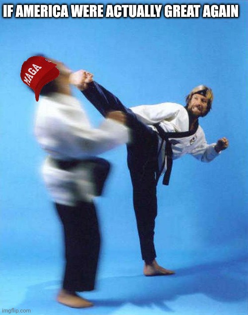 Roundhouse Kick Chuck Norris | IF AMERICA WERE ACTUALLY GREAT AGAIN | image tagged in roundhouse kick chuck norris | made w/ Imgflip meme maker