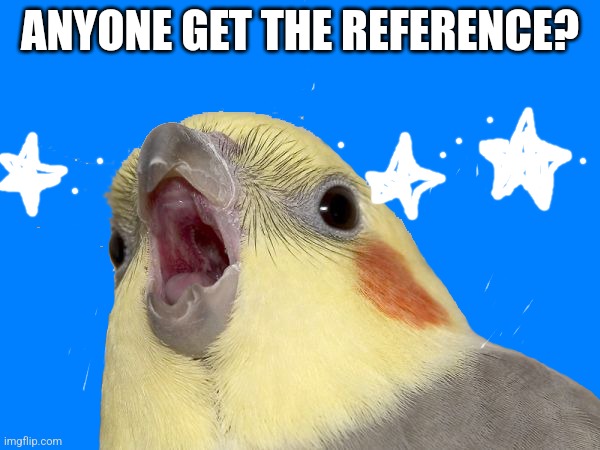 Space birb | ANYONE GET THE REFERENCE? | image tagged in screem | made w/ Imgflip meme maker