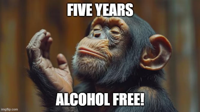 Sobriety | FIVE YEARS; ALCOHOL FREE! | image tagged in alcohol | made w/ Imgflip meme maker