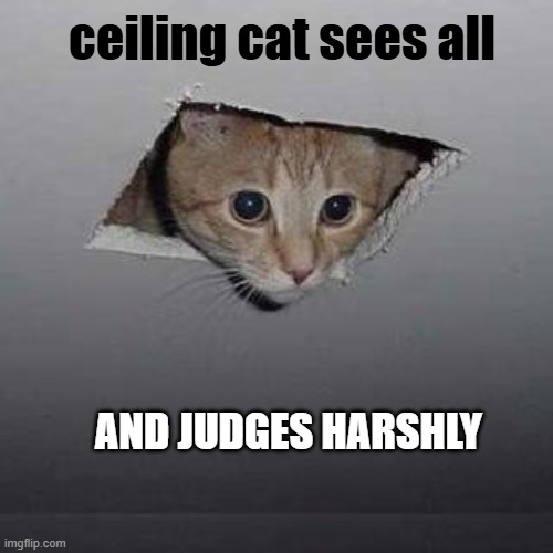 ceiling cat will judge | ceiling cat sees all; AND JUDGES HARSHLY | image tagged in memes,ceiling cat | made w/ Imgflip meme maker