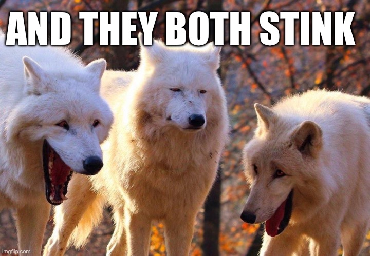 2/3 wolves laugh | AND THEY BOTH STINK | image tagged in 2/3 wolves laugh | made w/ Imgflip meme maker