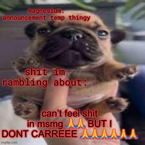 RAHHHHH FREEDOM OF EXPRESSION *EAGLE NOISES* | can’t feel shit in msmg 🙏🙏 BUT I DONT CARREEE 🙏🙏🙏🙏🙏🙏 | image tagged in pug temp | made w/ Imgflip meme maker