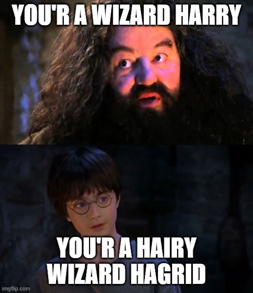 You are wizzard harry | YOU'R A WIZARD HARRY; YOU'R A HAIRY WIZARD HAGRID | image tagged in you are wizzard harry | made w/ Imgflip meme maker