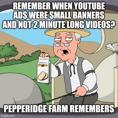 The good old days... | REMEMBER WHEN YOUTUBE ADS WERE SMALL BANNERS AND NOT 2 MINUTE LONG VIDEOS? PEPPERIDGE FARM REMEMBERS | image tagged in memes,pepperidge farm remembers,youtube,internet | made w/ Imgflip meme maker