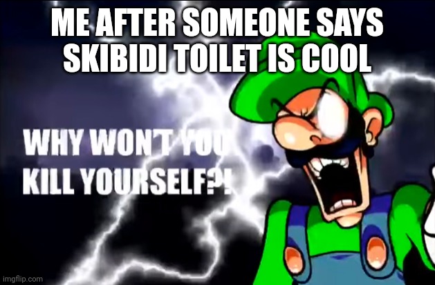 WHY WONT YOU KILL YOURSELF | ME AFTER SOMEONE SAYS SKIBIDI TOILET IS COOL | image tagged in why wont you kill yourself | made w/ Imgflip meme maker