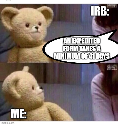 $#!!T The IRB Says | IRB:; AN EXPEDITED FORM TAKES A MINIMUM OF 41 DAYS; ME: | image tagged in wait what,grad school,phd,research,irb | made w/ Imgflip meme maker