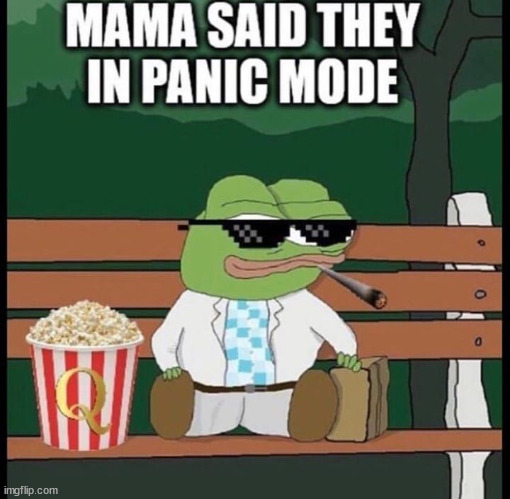 Won't be long before they ditch Kamala too... | image tagged in cannot hide kamala,like they did with biden for four years | made w/ Imgflip meme maker