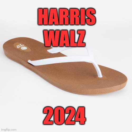 KamaLATE Harris for President | HARRIS; WALZ; 2024 | image tagged in funny,funny memes,political meme,politics,kamala harris,donald trump | made w/ Imgflip meme maker