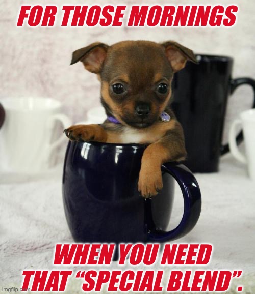 Dog with Coffee | FOR THOSE MORNINGS; WHEN YOU NEED THAT “SPECIAL BLEND”. | image tagged in dog with coffee | made w/ Imgflip meme maker