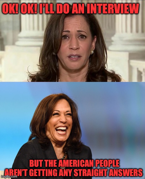 Kamala refuses to have an honest two way dialogue with the public. Lots of non-answers. | OK! OK! I’LL DO AN INTERVIEW; BUT THE AMERICAN PEOPLE AREN’T GETTING ANY STRAIGHT ANSWERS | image tagged in kamala harris,interview,non answers,no dialogue | made w/ Imgflip meme maker