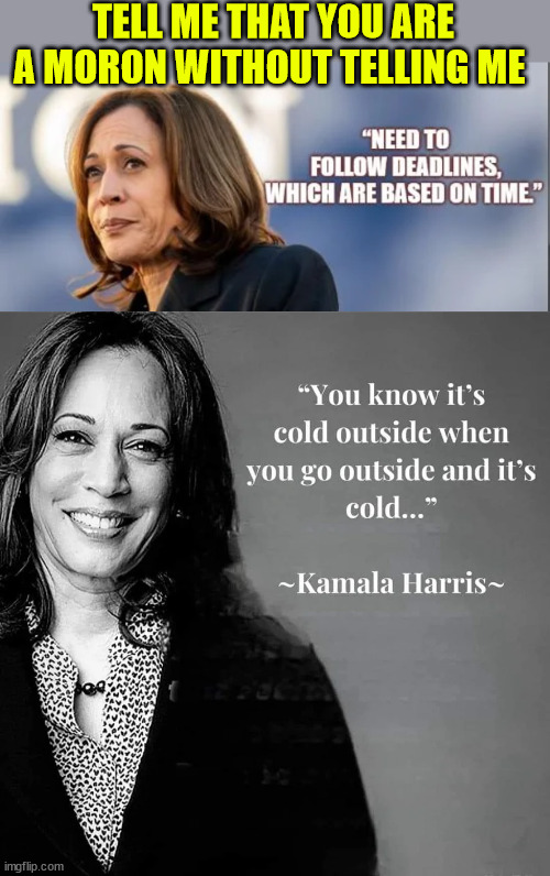 Moron Kamala...  this is the best the dems can install | TELL ME THAT YOU ARE A MORON WITHOUT TELLING ME | image tagged in kamala harris,dems need to cheat harder this time | made w/ Imgflip meme maker