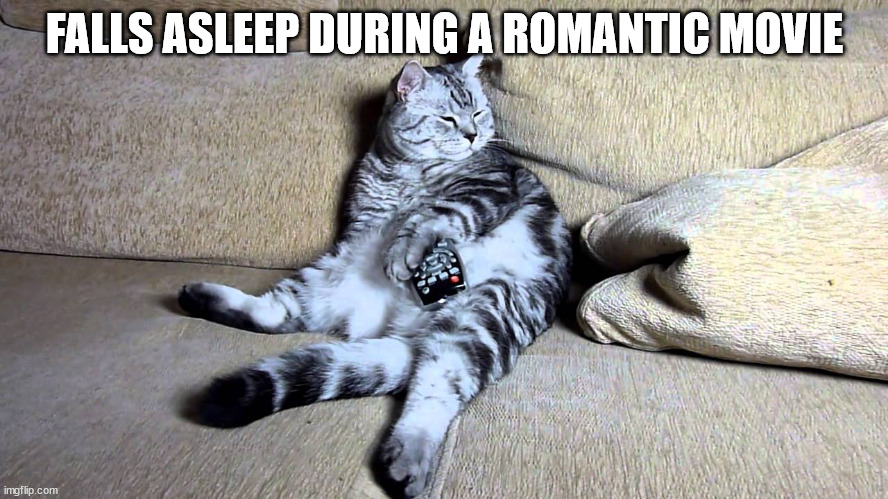 i did this yesterday | FALLS ASLEEP DURING A ROMANTIC MOVIE | image tagged in grumpy cat | made w/ Imgflip meme maker